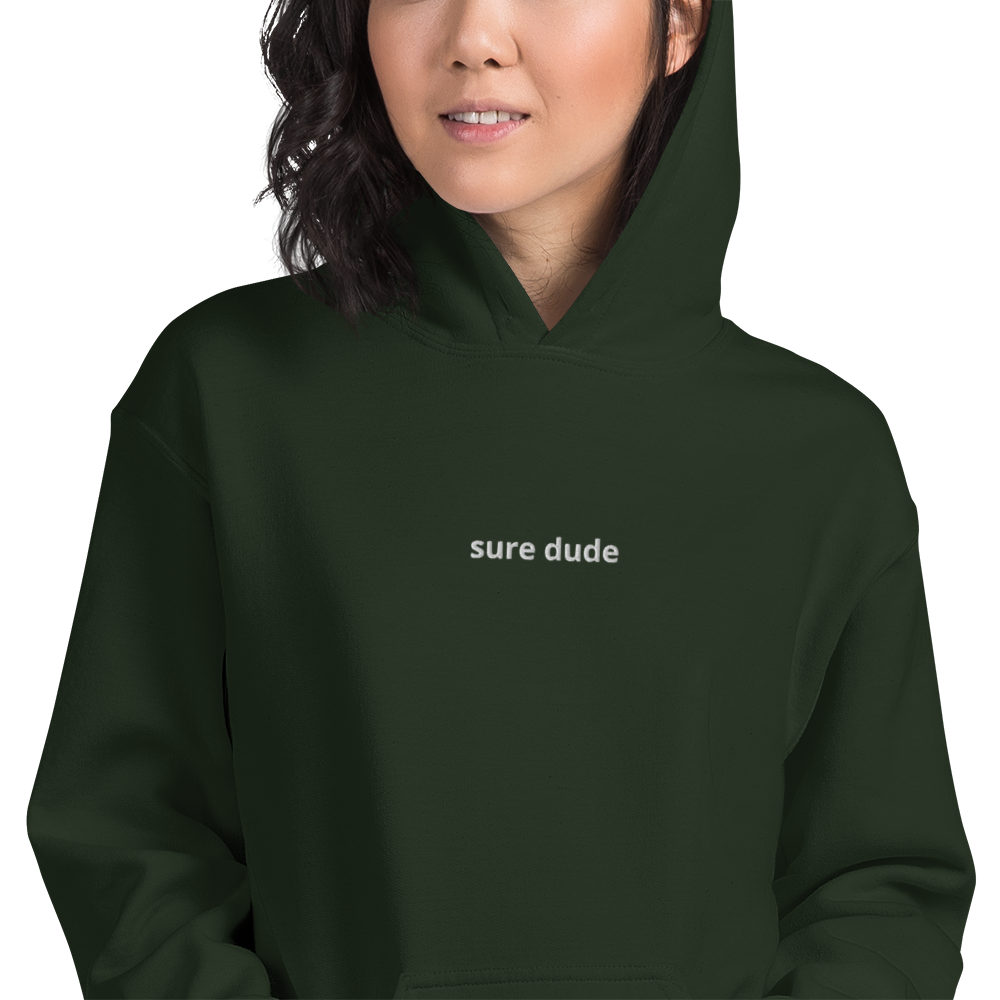 sure dude hoodie